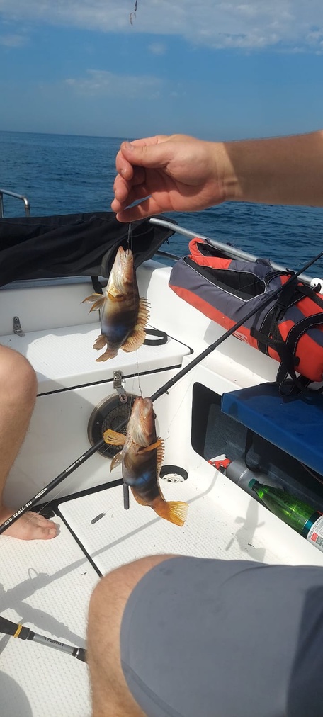 Не нужны ни сайты, ни приложения. 