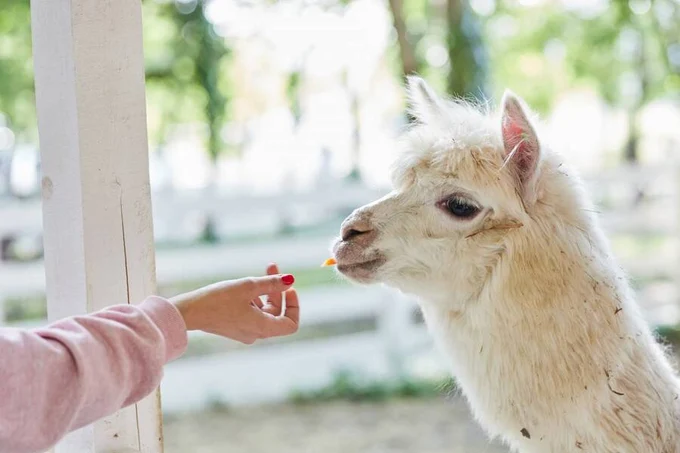 Не нужны ни сайты, ни приложения.